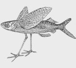 Fischmeister Logo